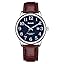 01-Wine-red/Silver-Tone/Blue
