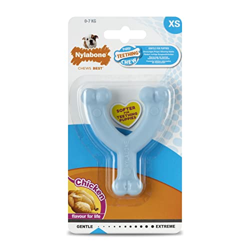 Nylabone Puppy - Giocattolo per mordere Wishbone Puppy Blue originale sapore di pollo, X-Small/Petite (1 pezzo)