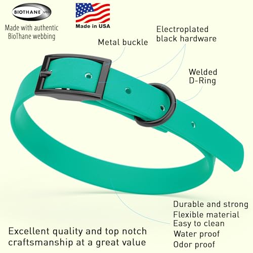 Image of Dogline Biothane Waterproof Dog Collar Strong Coated Nylon Webbing with Black Hardware Odor- Proof for Easy Care Easy to Clean High Performance Fits Small Medium or Large Dogs, Teal