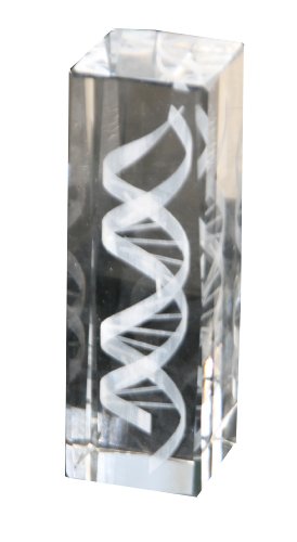 Figura decorativa estatua de cristal DNA 6 pulgadas