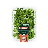 Groots - Bolsa con Brotes Frescos de Canónigos - 90 g - Deliciosos en Ensaladas, Salteados, Cremas y Batidos - Agricultura Sostenible - Sin Pesticidas