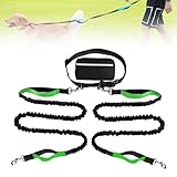 Joggingleine Hunde, Laufleine Freihandleine für Hunde, Bauchgurt Freihändige Hundeleine mit bauchgurt zum Joggen Laufen Wandern mit Dual Griffe, Reflektierende Nähte (Double Rope, Grün)