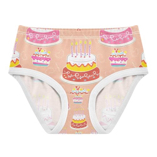Colorful Birthday Cakes Candles Toddler Girls's Underwear 2T 202c1192