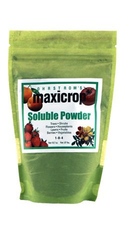 MAXICROP Seaweed Powder Soluble Atlantic KELP 10 # CONTAINER