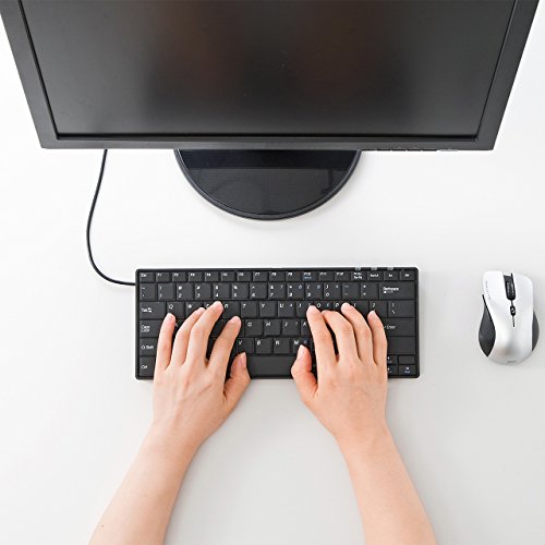 サンワサプライ(Sanwa Supply) 英語配列USBスリムキーボード SKB-E3U の商品画像 7