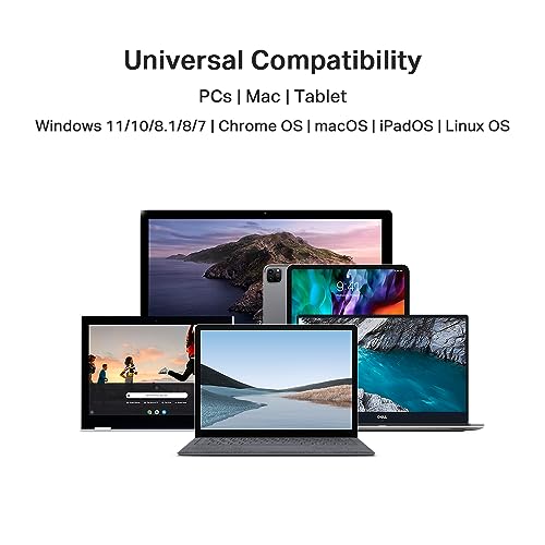 image for TP-Link USB C To Ethernet Adapter(UE300C), RJ45 To USB C [Thunderbolt 