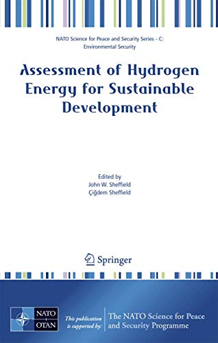 Assessment of Hydrogen Energy for Sustainable Development (NATO Science for Peace and Security Series C: Environmental Security)