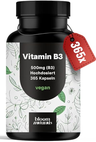 Vitamin B3 Niacinamide Hochdosiert - 365 Kapseln mit 500 mg pro Kapsel vegan & Produziert in Deutschland - B3 Vitamin Niacinamid - Verpackung kann variieren - Laborgeprüft