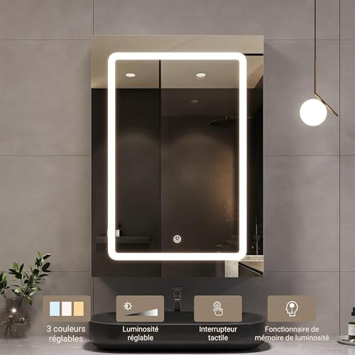 Plcnn Armario de pared de baño con espejo y LED, armario de inodoro Espejo, Farmacia Espejos con estante ajustable, temperatura de color ajustable (50 x 70 x 14 cm) - imagen 6