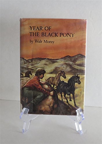 The Year of the Black Pony 0525434550 Book Cover
