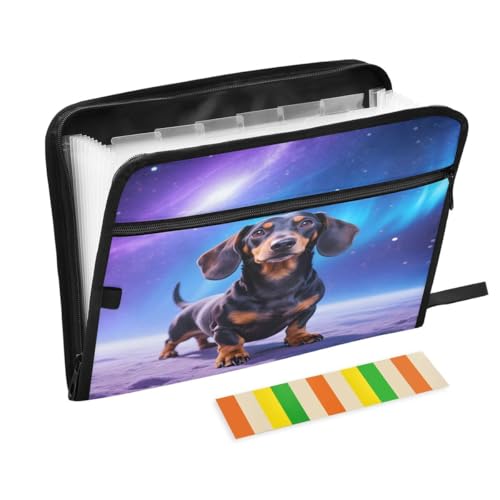 ALAZA Dachshund Space Galaxy Dog Expandable Filing Folder Storage Organiser Box Files, 13 Pockets Zip Filing Folders for Home or Office Documents