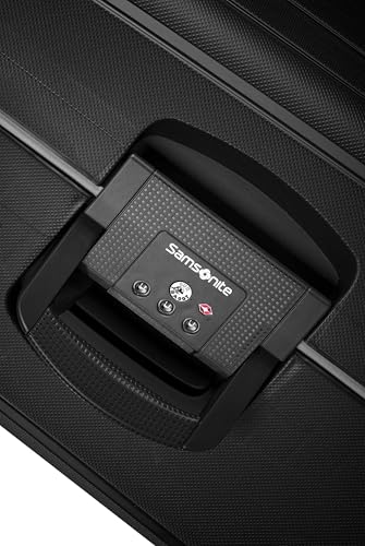Samsonite Pro DLX luggage