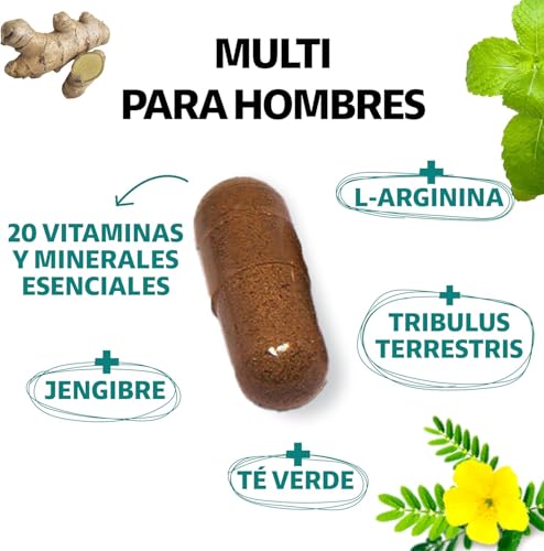 Opiniones y reviews de Palmetto los más recomendados. 15 Imagen adicional