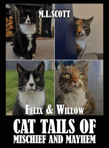 Felix & Willow cat tails of mischief and mayhem