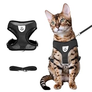 shudyear Summer cat Chest Harness and Leash, Anti-Escape Adjustable Soft mesh cat Leash and Chest Harness Set for All Types of Cats cat Vests (Size L,Black)