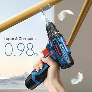 FAHEFANA Perceuse Visseuse Devisseuse Sans Fil 12V, avec Sac et 25 Accessoires, 2000mAh Batterie, 25Nm, 25+1 Réglages de Couple, 2 Vitesse, Lumières LED, Perceuse-Visseuse pour Bricolage à Domicile