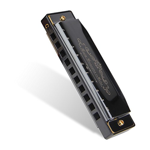 Mugig Harmonica, C Key Harmonica for Beginners or Kids, 10 Holes 20 Tones, 1.2mm Plate Structure, Stainless Steel Cover, with Carry Box, Black (Standard)