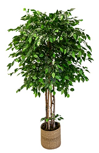 Árboles Artificial Excélsior con Troncos Naturales, Elaborados con los Mejores Materiales, Ideal para Decoración de Hogar, Árbol Artificial (190 cm) (Ficus)