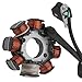 Caltric Stator Compatible With KTM 300 Xc Xc-W Xcw Six Days 2008-2016 Magneto