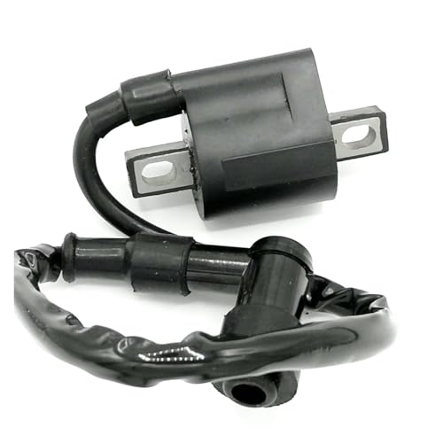 Bobine d'allumage Yh Warrior 350 YFM350 pour vos randonnées et sorties quad 1987-2004