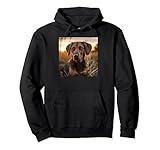 Cute Plott Hound Dog Sitting In The Sunset Co