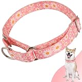 Martingale Collar for Dogs Medium Large, Girl Dog Collars with Adjustable Soft Nylon and Special Pink Daisy Floral Design, Training No Slip Dog Collar (M)