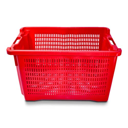 FCI - 10 cajas para aceitunas apilables, aptas para frutas y cosecha de aceitunas, 10 unidades (10)