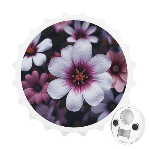 �u���b�T���t�����[�{�g���I�[�v�i�[ �①�Ƀ}�O�l�b�g�X�e�b�J�[�t�� �①�Ƀ}�O�l�b�g �r�[���𔲂� �|�b�v�� �\�[�_�ʐ؂� �①�ɂ�RV�p �L���b�v�L���b�`���[�t��
