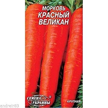 Potseed Las Semillas de la Zanahoria Gigante Rojo 2 G Morkov Red Giant Ucrania S0161