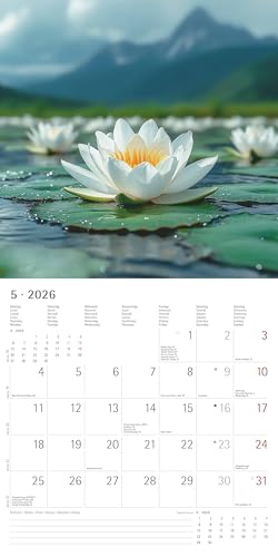 Alpha Edition - Sunny Moments 2026 – Broschürenkalender 30x30 cm – Wandkalender mit Sonnen auf- und Untergängen – Für Natur- & Fotografie-Liebhaber – Mit Platz für Notizen, Feiertagen & Ferienterminen