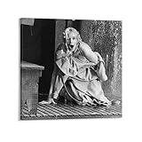 サリー・ケラーマンが出演した『絞殺魔』 ウォールアート キャンバス 印刷 画像 ポスター 壁の絵 壁掛け 壁飾り 誕生日ギフト ホーム装飾28x28inch(70x70cm)