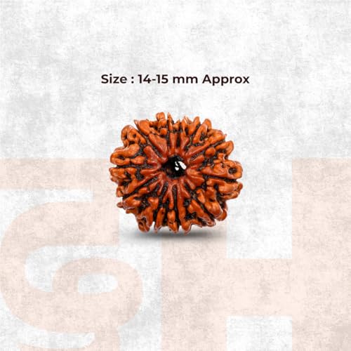 Image of Divine Hindu Original 11 Mukhi (Eleven Face) Indonesia Rudraksha | Ekadash Mukhi Rudraksh Bead for Meditation & Spiritual Growth | Natural Rudraksha for Men & Women | Prayer Bead for Success, Peace