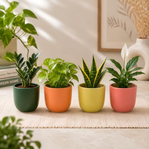 Image of ecofynd 5 Inch Ceramic Plant Pots with Drainage Hole, Modern Decorative Clay Flower Pots for Indoor Plants, Home Garden Decor for Living Room, Bedroom & Interior Spaces (Pack of 4, CPOT041-MUL)