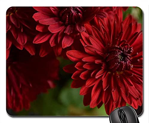 Preisvergleich Produktbild Rote Blumen Mauspad, Mousepad (Blumenmauspad)