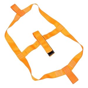 41jumkmbu6l. sl500 . ss300