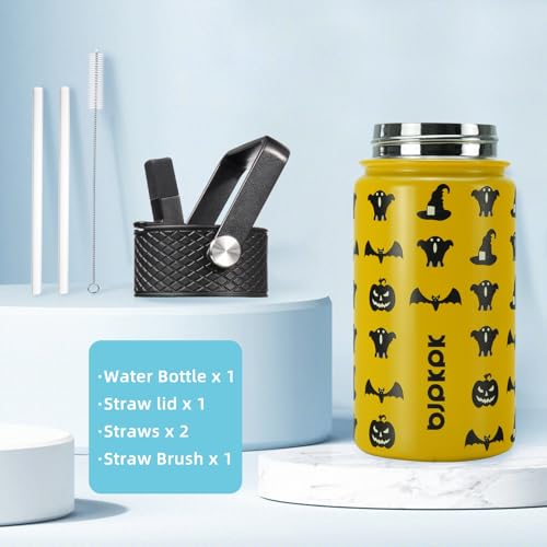 Image of BJPKPK Insulated Water Bottle, 15oz Stainless Steel with Straw Lid