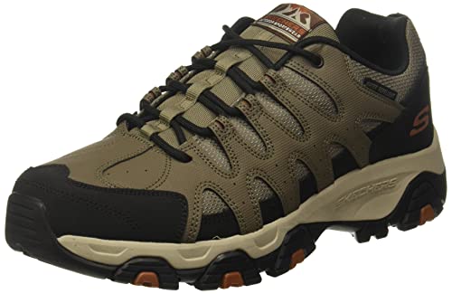 Skechers Men's Terrabite Oxford 