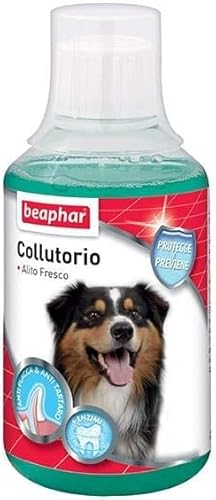 Beaphar Collutorio per Cani, Prevenzione dell'Alitosi e Salute Dentale, dai 6 Mesi di Età per Una Protezione Quotidiana, Facile da Usare, 250 ml