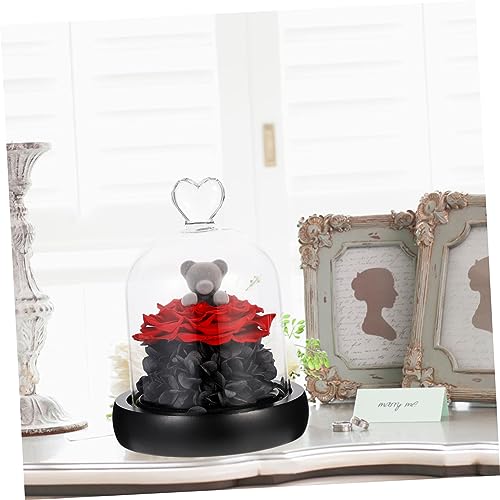 NOLITOY 1 Peça Tampa De Vidro Flor Preservada Flor Eterna Lâmpada De Vidro Vermelho Presente Preserv