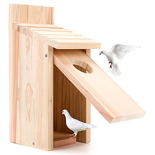 Oceek Cedar Blue Bird Box House Wood Bird House Bluebird Box House Cedar Wren and Chickadee Wren Home Outdoor Hanging Wood Birdhouse Assembled OceeK Hummingbird House (1Pack 3115 Assembled)