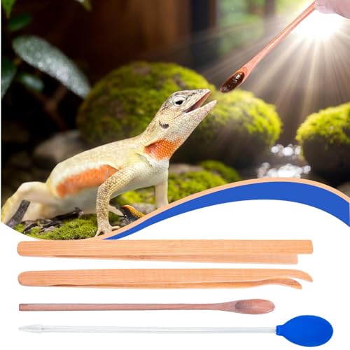 Alimentando pinças para répteis e répteis pinças, Clanets de alimentação de cobras, Acessórios de te