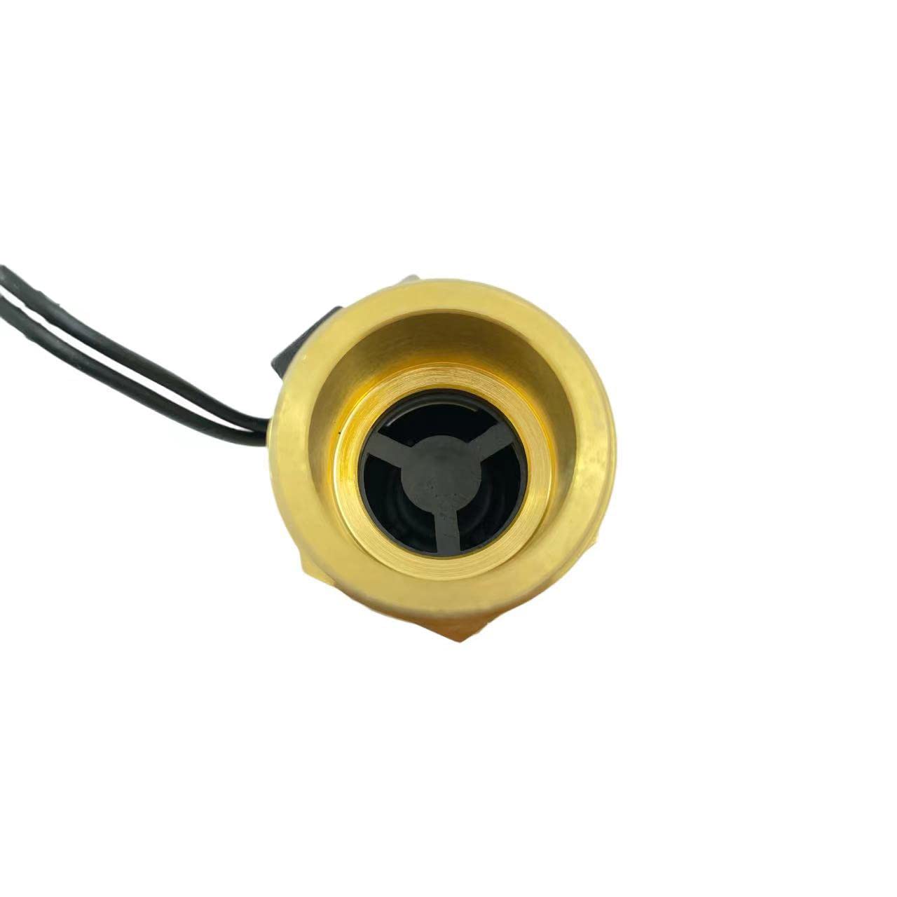 Générique Commutateur de capteur de débit Commutateur Reed Commutateur de capteur magnétique 2.5-26L/min 24V DC 70W Capteur Saier 2 Fils