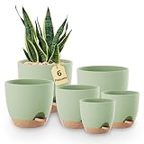 Bamworld Lot de 6 pots de fleurs à arrosage automatique - Noir - 12,7 cm/14 cm/15,2 cm/16,5 cm/17,8 cm/20,3 cm - Avec soucoupe, pots de culture, plantes d'intérieur, décoration de rebord de fenêtre