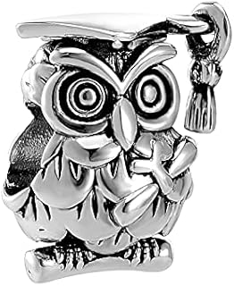 Chili Jewelry Graduation Owl Charm for Friends Graduate Gifts Compatible with Pandora Charms Bracelets