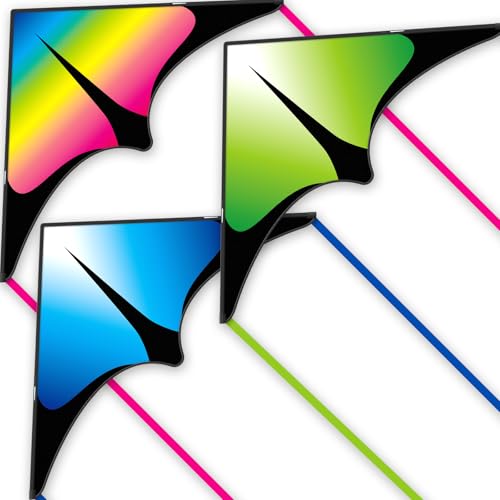 Doinfly Delta Kite for Kids & Adults, Extremely Easy to Fly Kite, Suitable for Family outings,