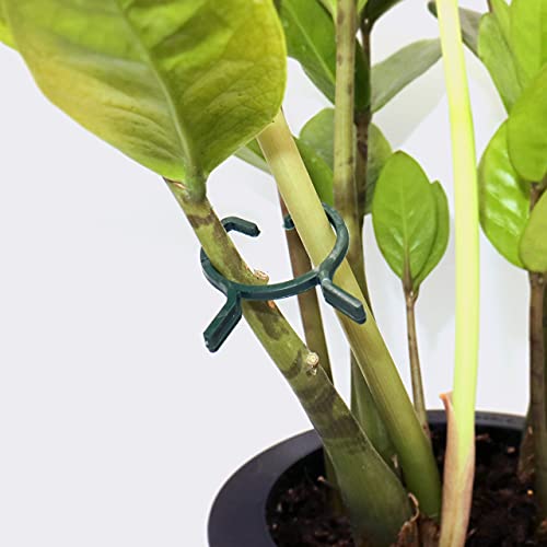 200 Stück Pflanzenclips - Tomatenclips Für Rankhilfe & Garten