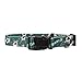 NHL Dallas Stars Team Pet Collar, Small
