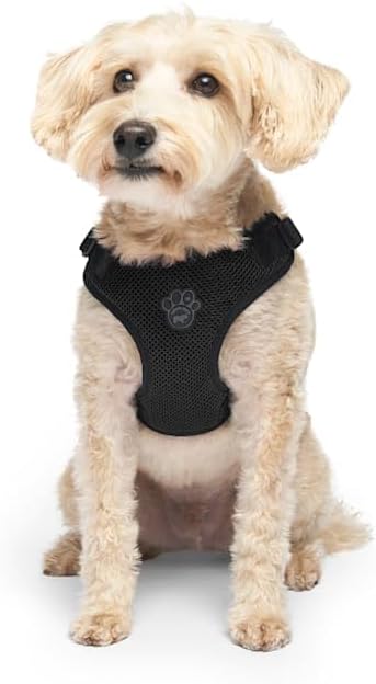 Canada Pooch Easy-On Step-in Dog Harness Black Small