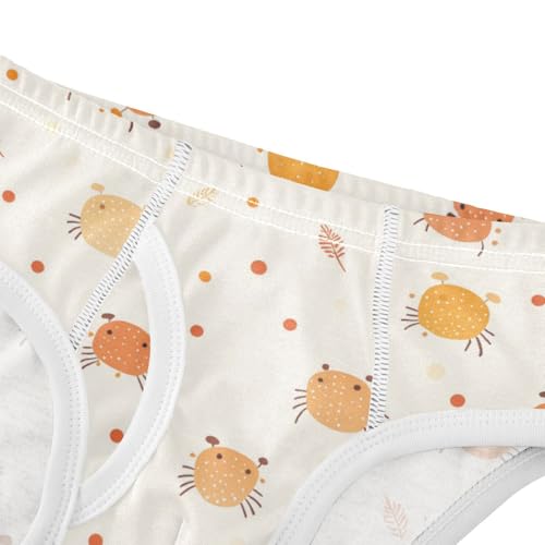 Wusikd Cute Hermit Crabs Boys' Underwear Cotton Boys Briefs Soft Toddler Underwear 2T4