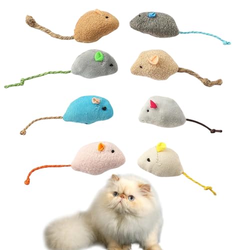 Lifetips q} q}Lbg Himalayan Lp lY~ʂ 8Zbg qL L V XgXU ^s ӂӂf L炵  ybgObY